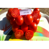 Semences de tomates Casaque Rouge de mi-saison à tardive