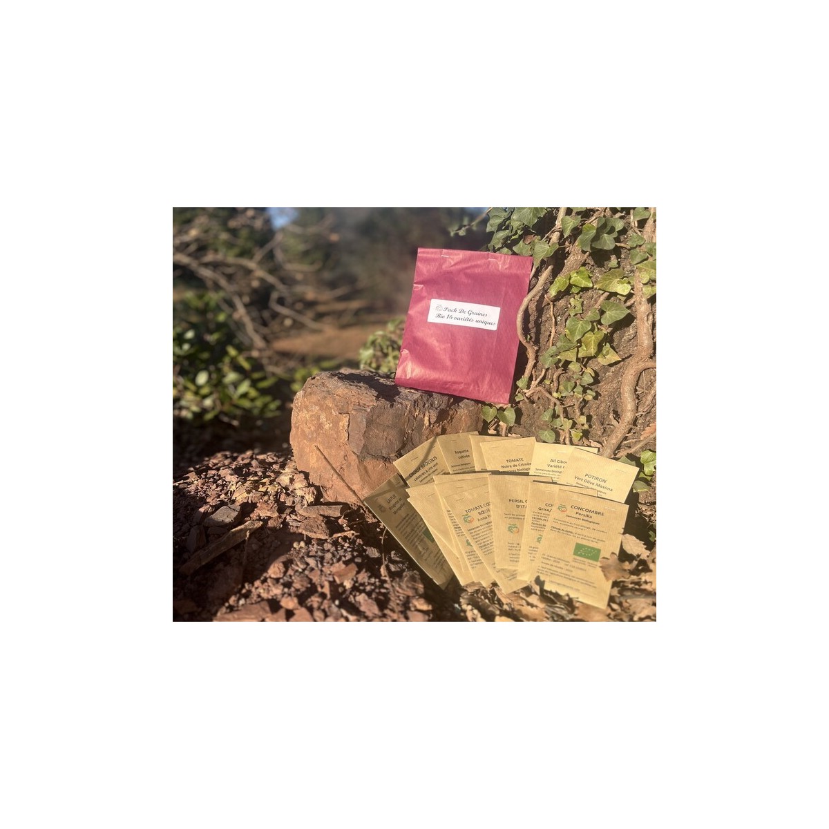 Pack de graines bio 16 variétés anciennes pour un potager de santé