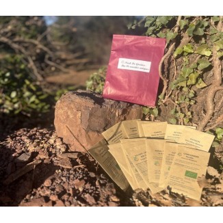 Pack de graines bio 16 variétés anciennes pour un potager de santé