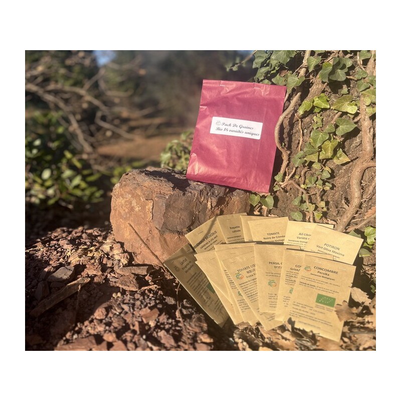 Pack de graines bio 16 variétés anciennes pour un potager de santé