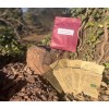 Pack de graines bio 16 variétés anciennes pour un potager de santé
