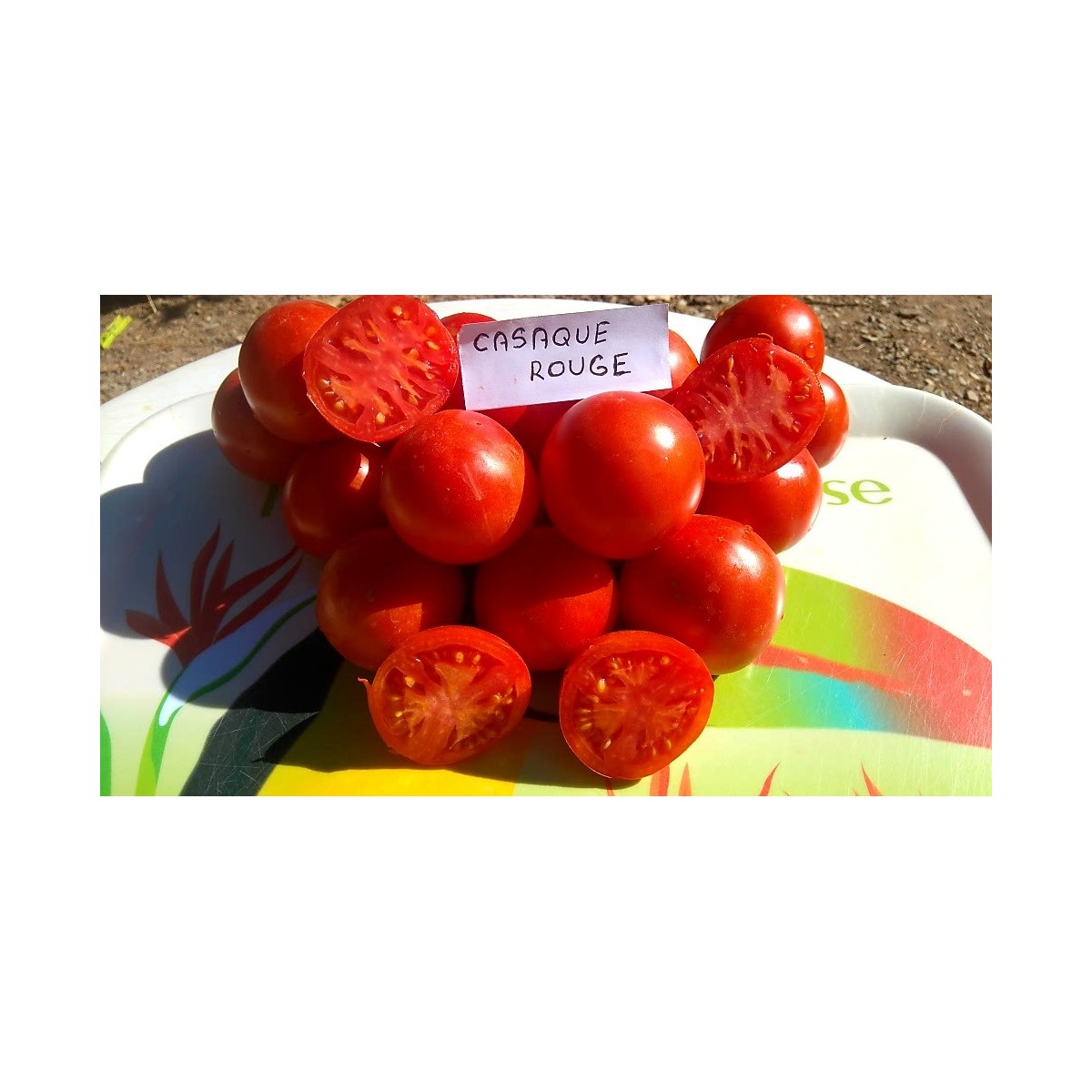 tomate Casaque rouge