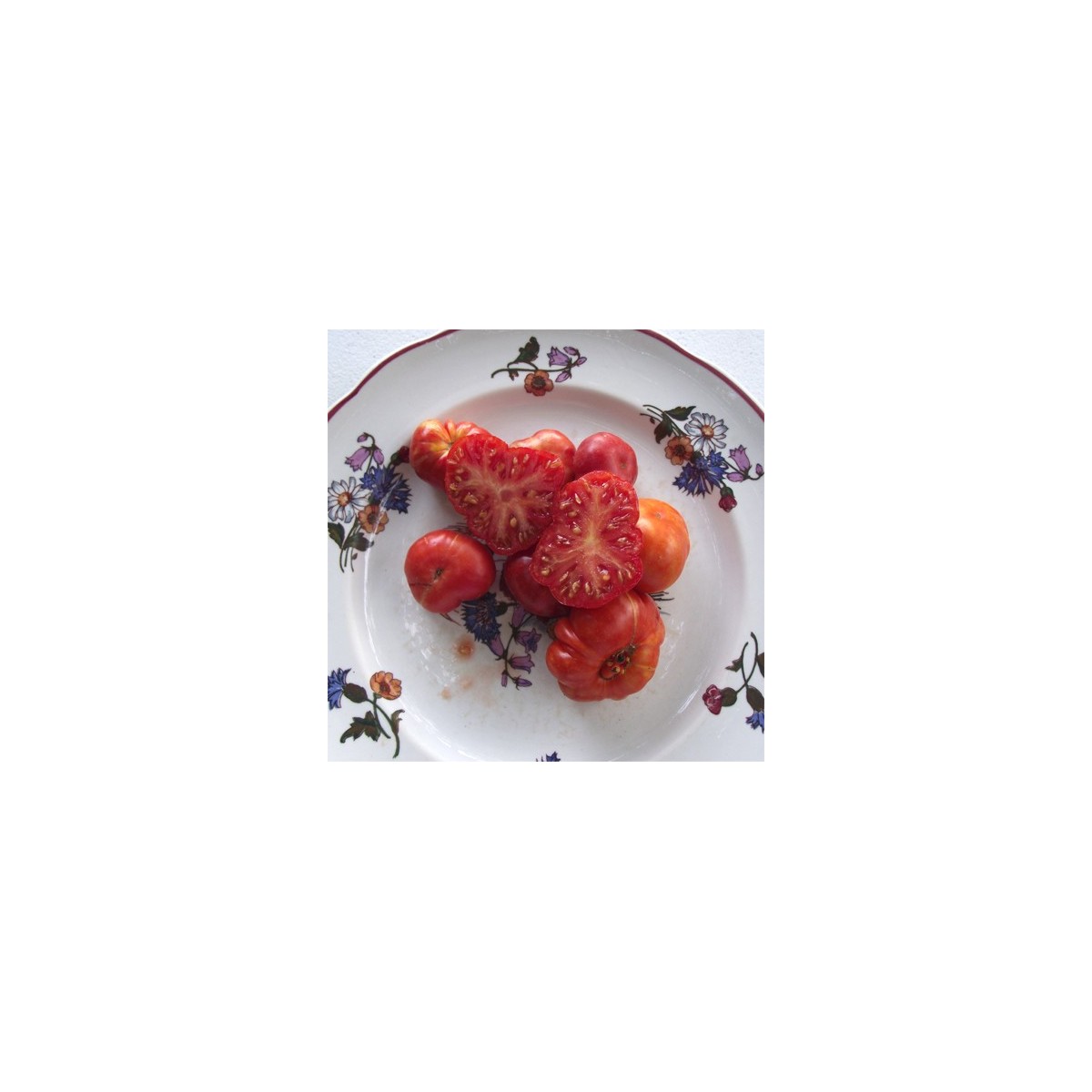 Tomate Calabache Rouge bio résistante à la sécheresse