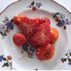 Tomate Calabache Rouge bio résistante à la sécheresse