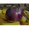 Aubergine Ronde de Valence variété ancienne productive  30 graines bio