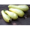 Courgette Jaune semences bio
