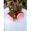Betterave Chioggia semences biologiques