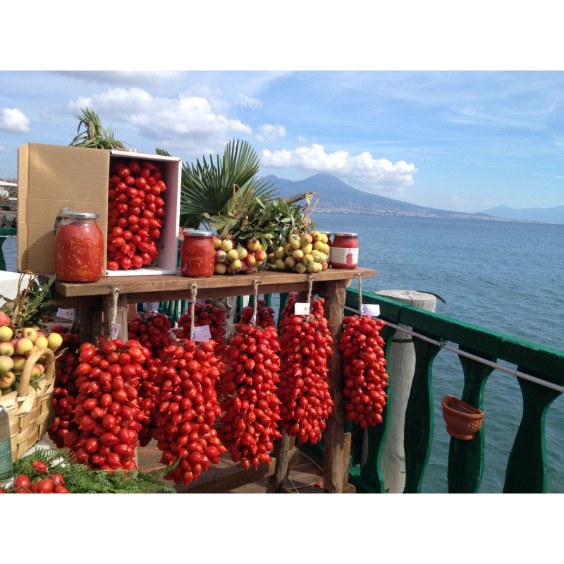 Tomate italienne Spongillo di Torre Del Greco Graines bio reproductibles