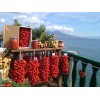 Tomate italienne Spongillo di Torre Del Greco Graines bio reproductibles