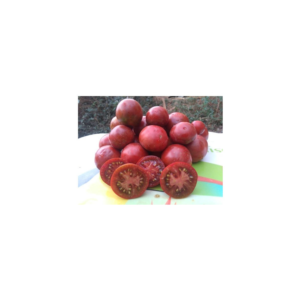 Tomate Noire