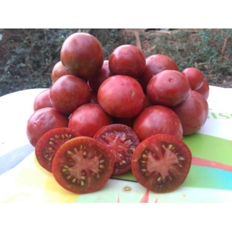 Tomate Noire