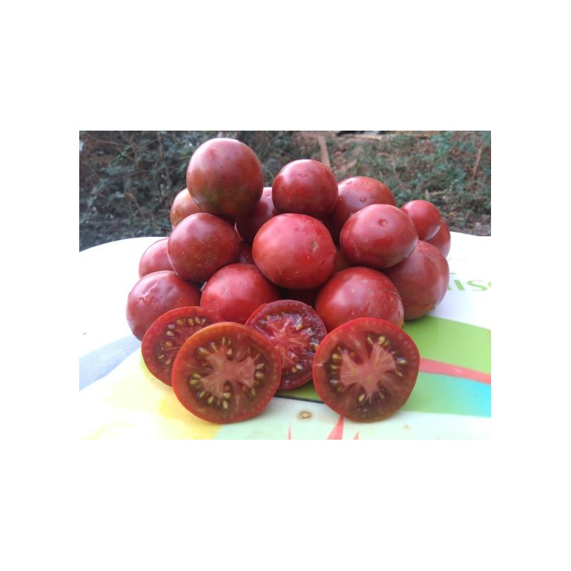Tomate Noire