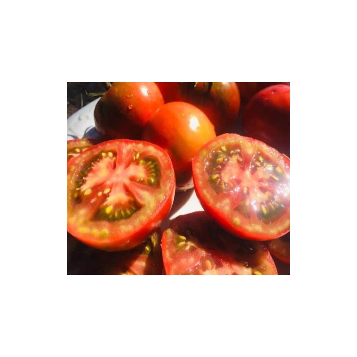 tomate Paul Rebeson