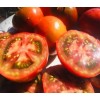 tomate Paul Rebeson