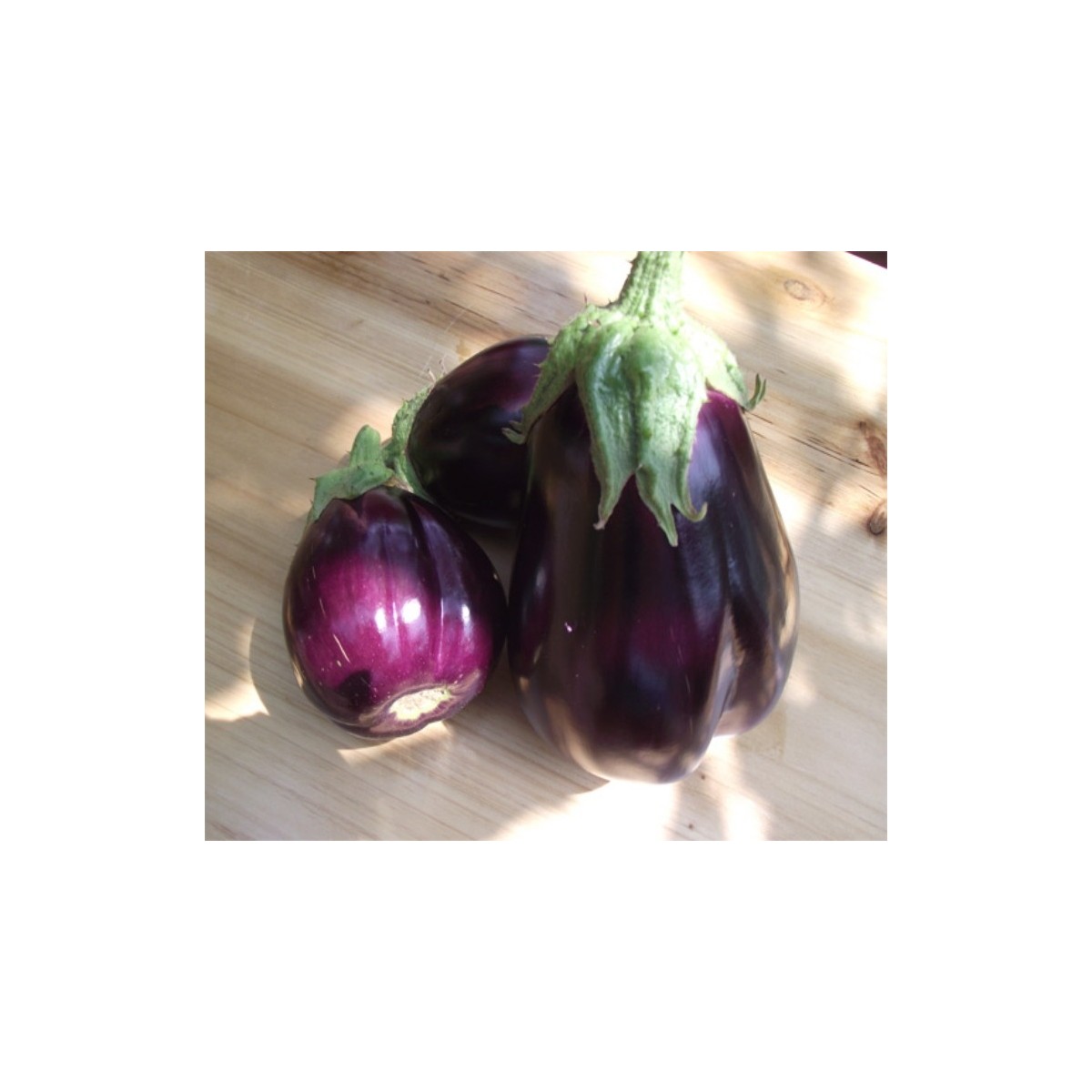 Aubergine beauté noire