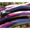 Aubergine baguette