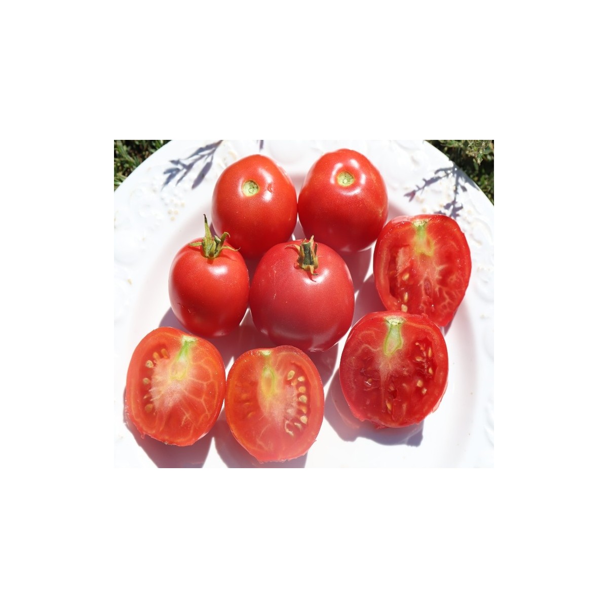 tomates rose claire