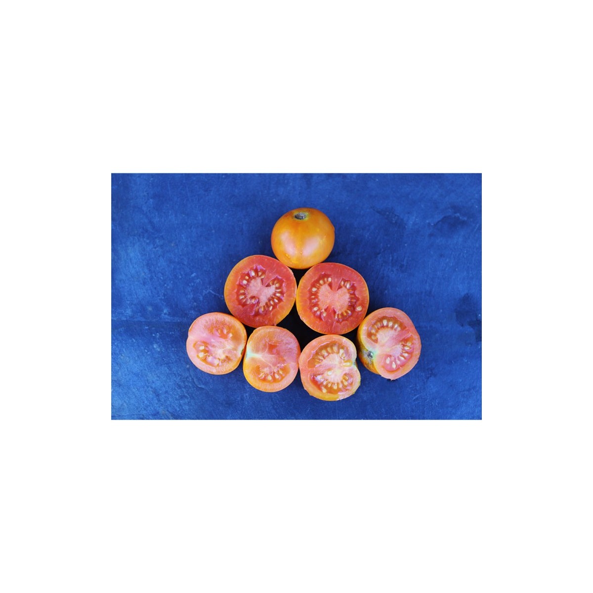 Semences de tomates Auriga très originale et gouteuse