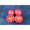 Tomate Belle de Lyon
