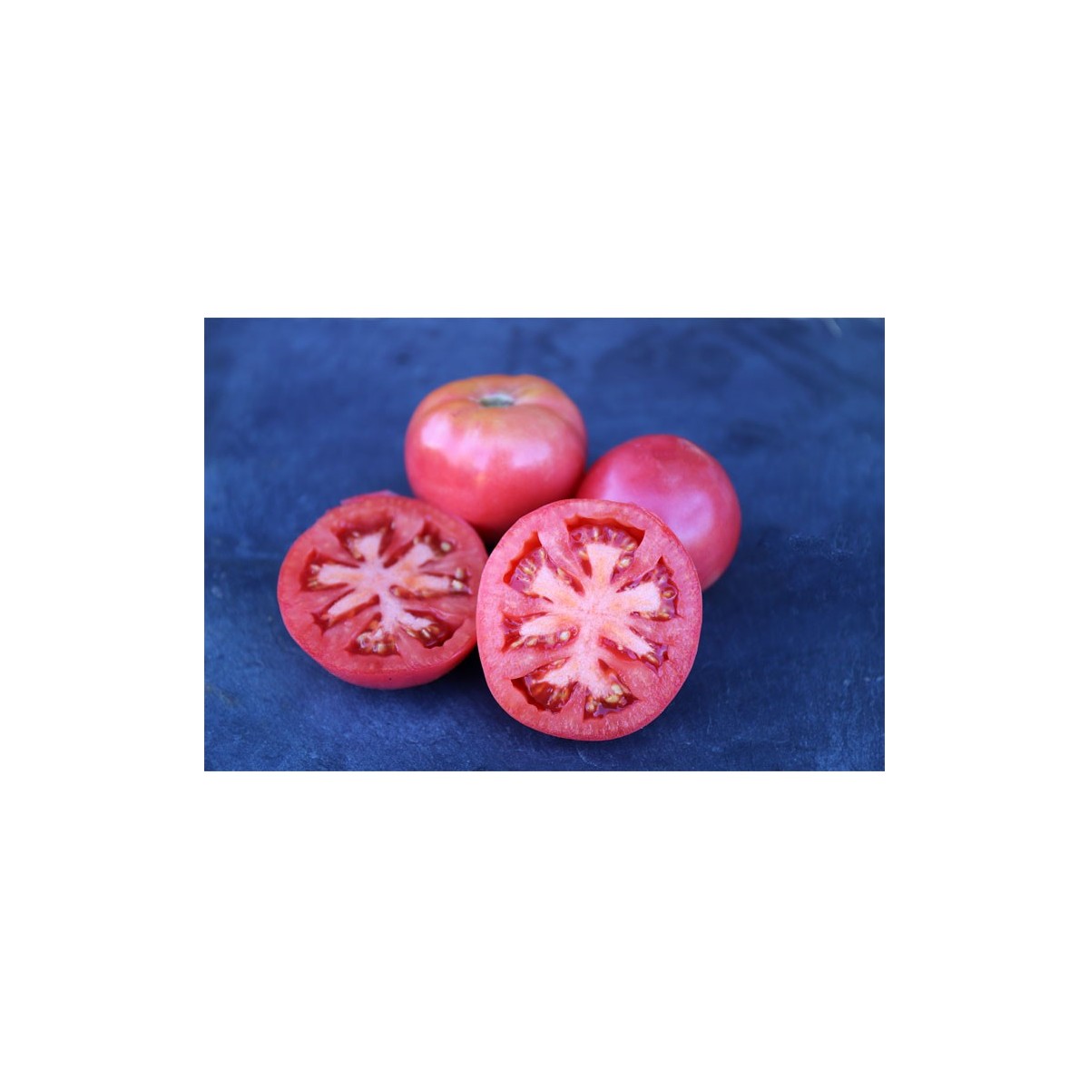 Tomates Belle de Lyon ou monstrueuse de Lyon Semences bio
