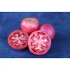 Tomates Belle de Lyon ou monstrueuse de Lyon Semences bio