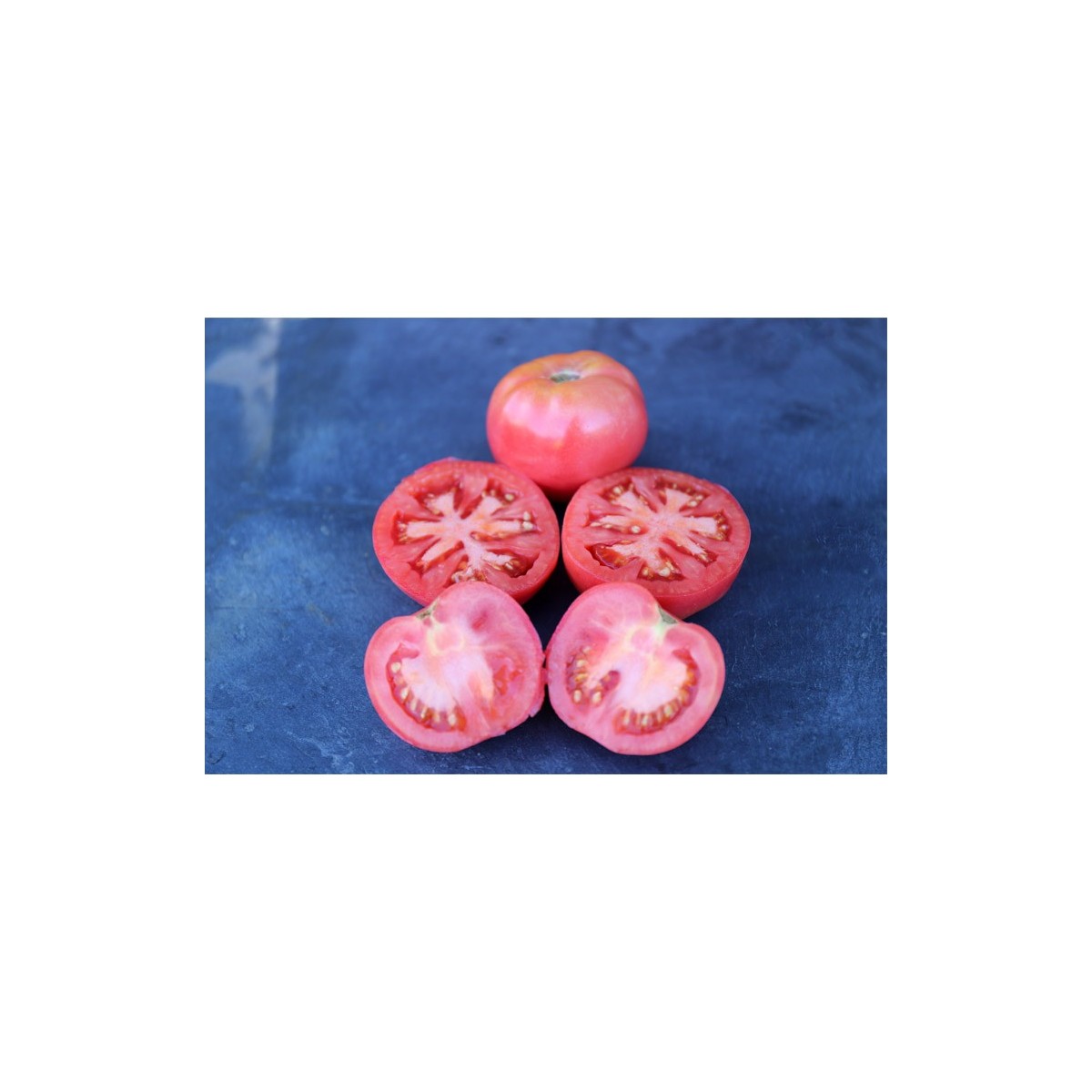 Tomates Belle de Lyon ou monstrueuse de Lyon Semences bio