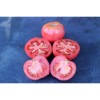 Tomates Belle de Lyon ou monstrueuse de Lyon Semences bio