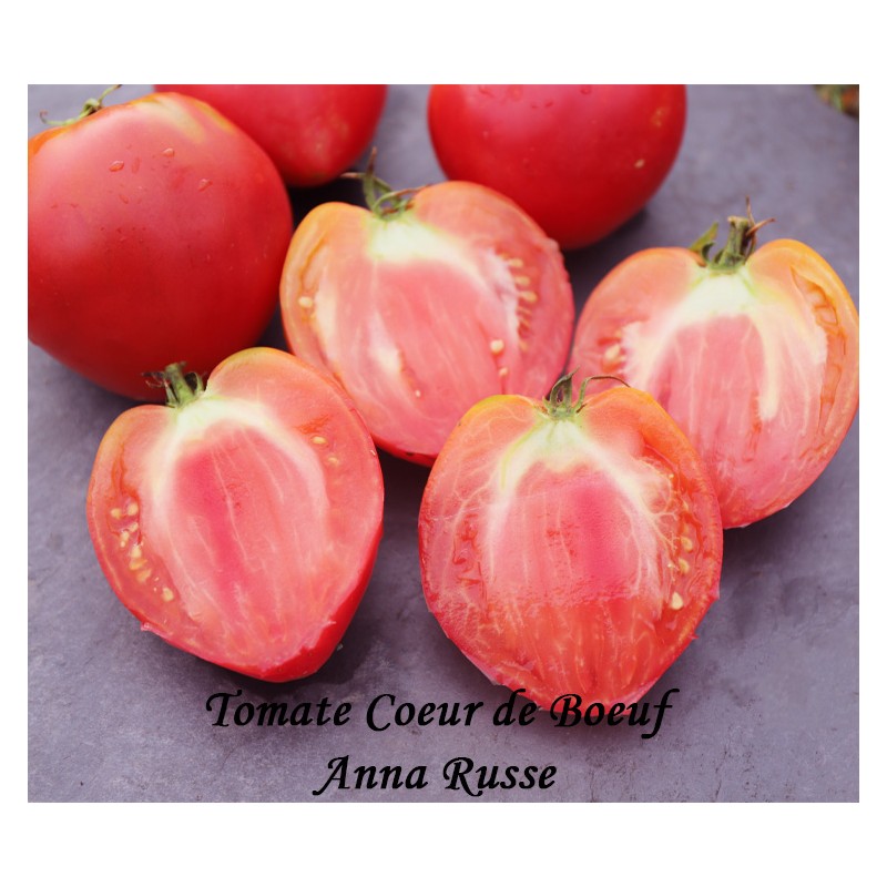 Assortiment de tomates variétés anciennes bio vente en ligne