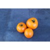 Tomate délice d'or semences biologiques Pascal Poot