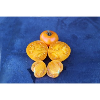 Tomate Délice d'Or