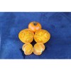 Tomate Délice d'Or