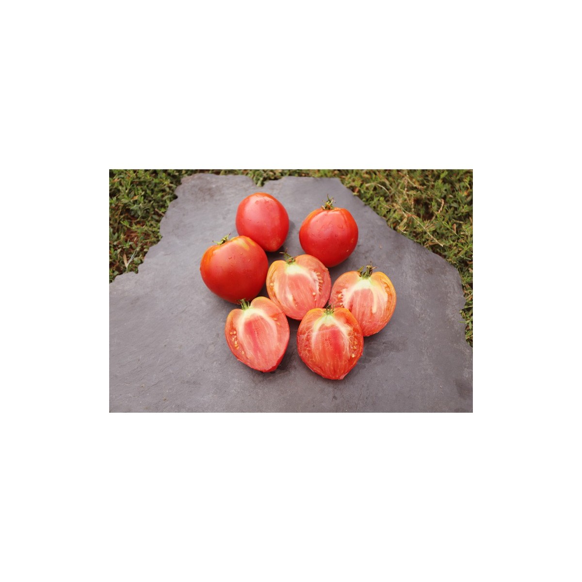 Tomate Cœur de Bœuf Anna Russe