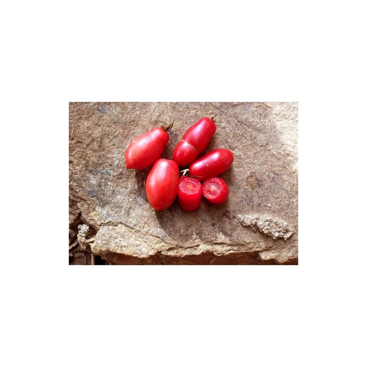 Tomate dix doigts de Naples