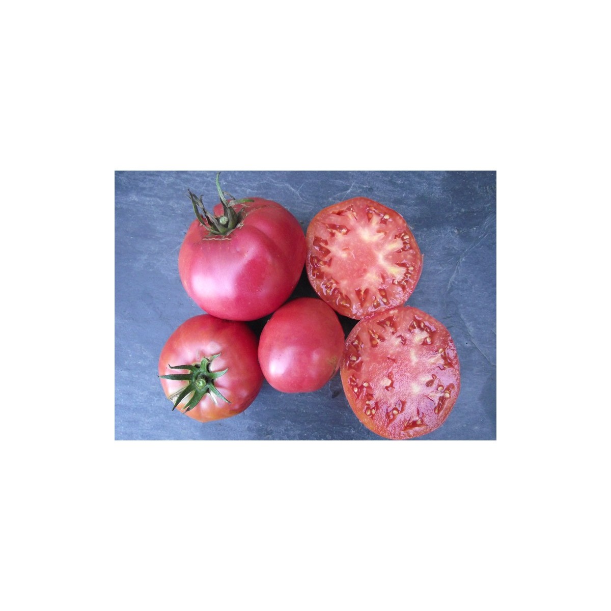 Tomate Italienne Pourpre