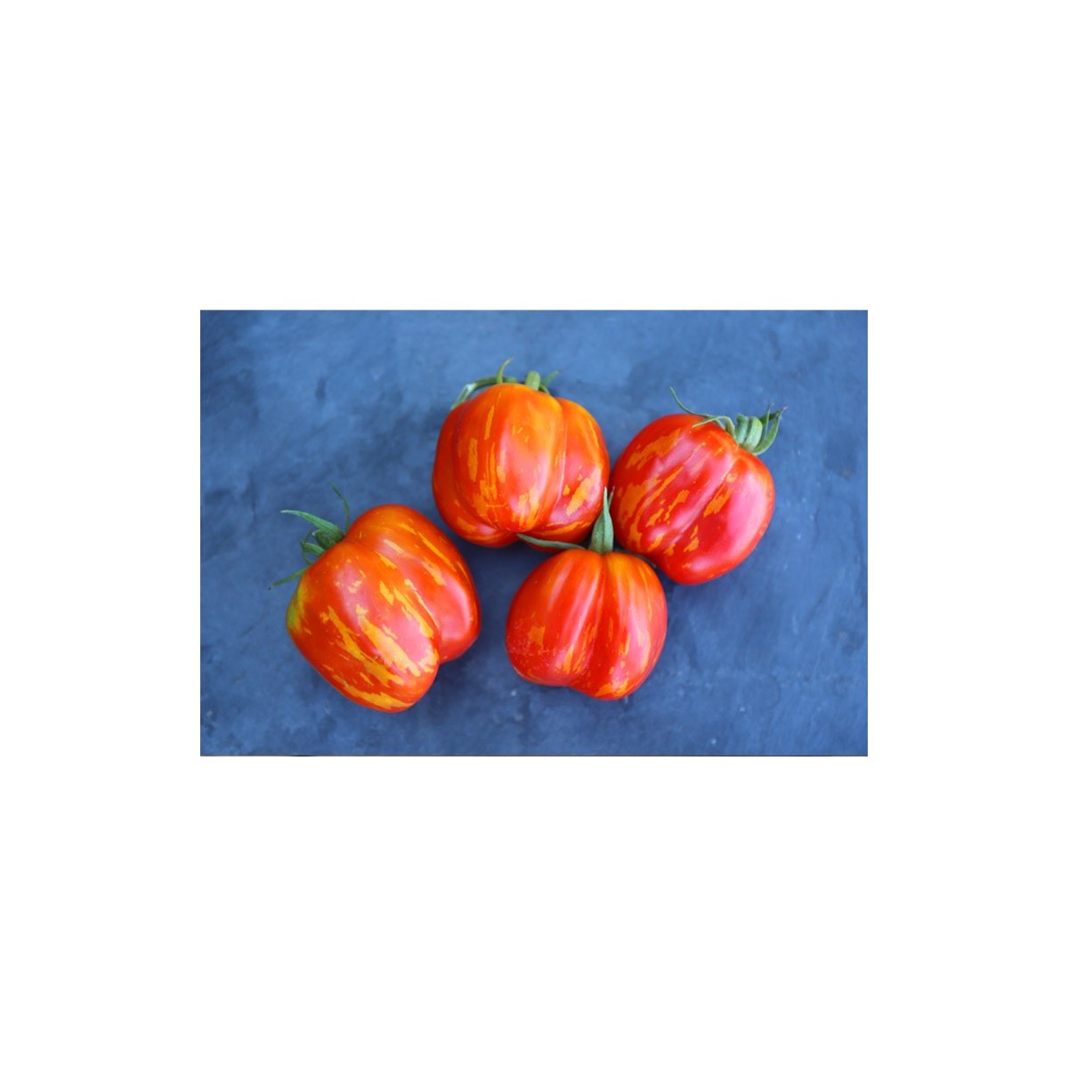Tomate Bigarrée Caverneuse