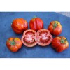 Tomate Bigarré Caverneuse semences biologiques