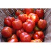 Tomate Bigarré Caverneuse semences biologiques