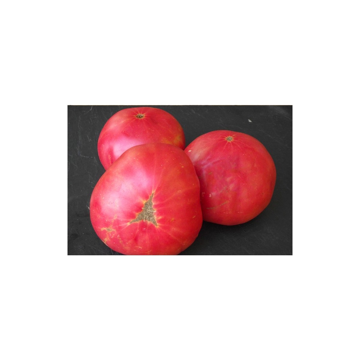 Tomate Brandywine rose