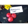 Tomates Brandywine rose semences biologiques Pascal Poot