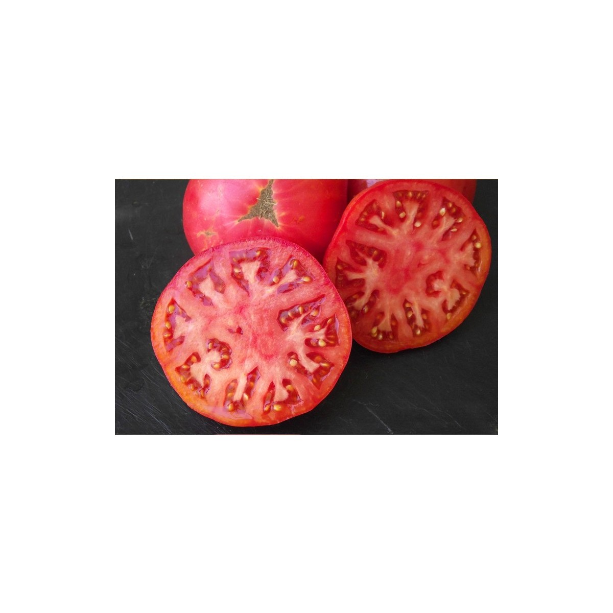 Tomates Brandywine rose semences biologiques Pascal Poot
