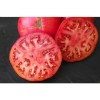 Tomates Brandywine rose semences biologiques Pascal Poot
