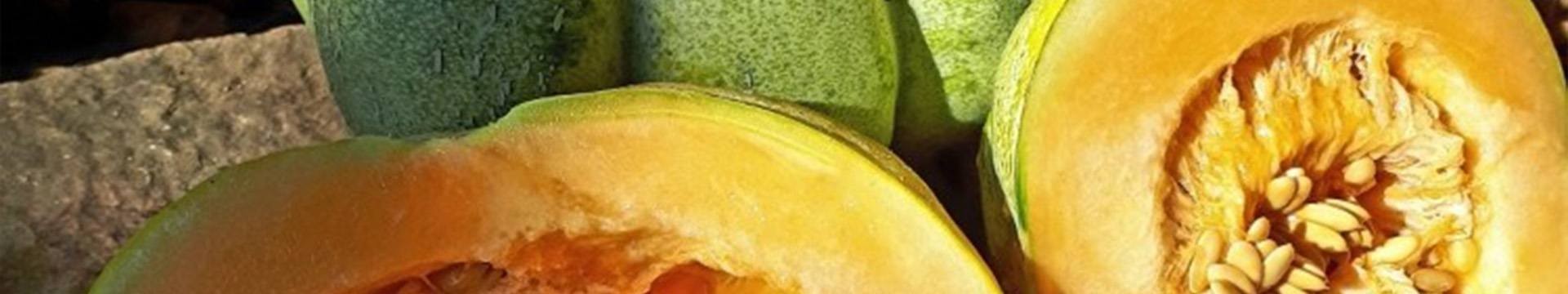 Graines Bio de Melons anciens : Variétés Résistantes à la sécheresse