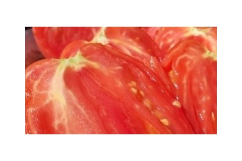 Semences de grosses tomates charnues