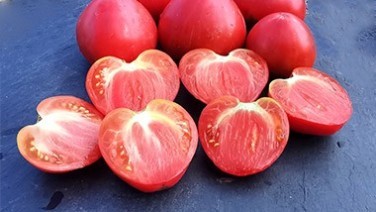 Grosses tomates charnues