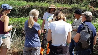 Nos formations en ligne