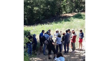 Formations et Stages