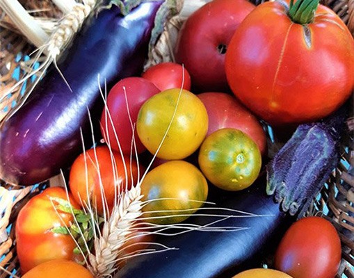 légumes fruits