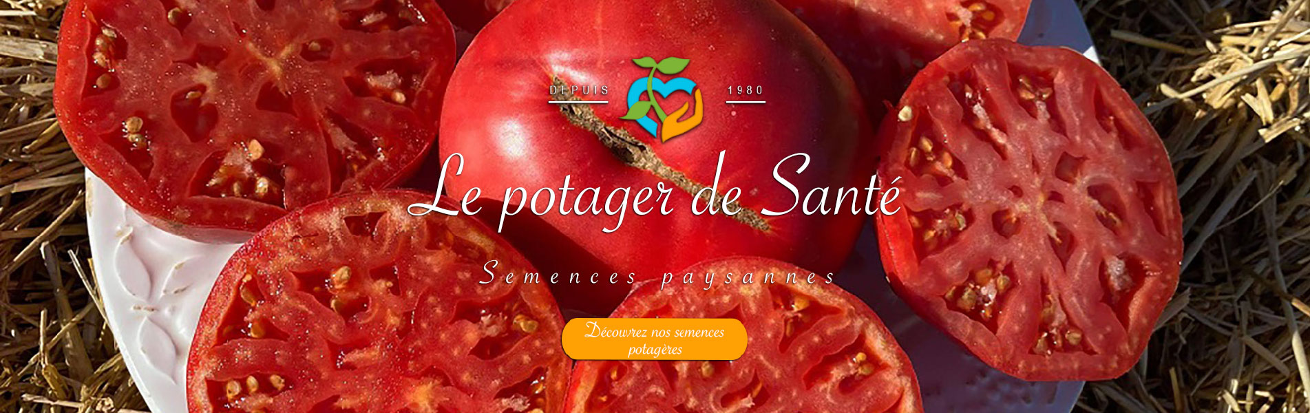 Le potager de Santé - Tomates Cherokee