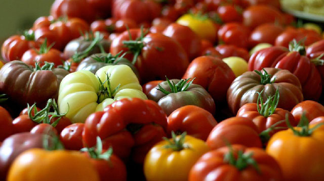 les tomates